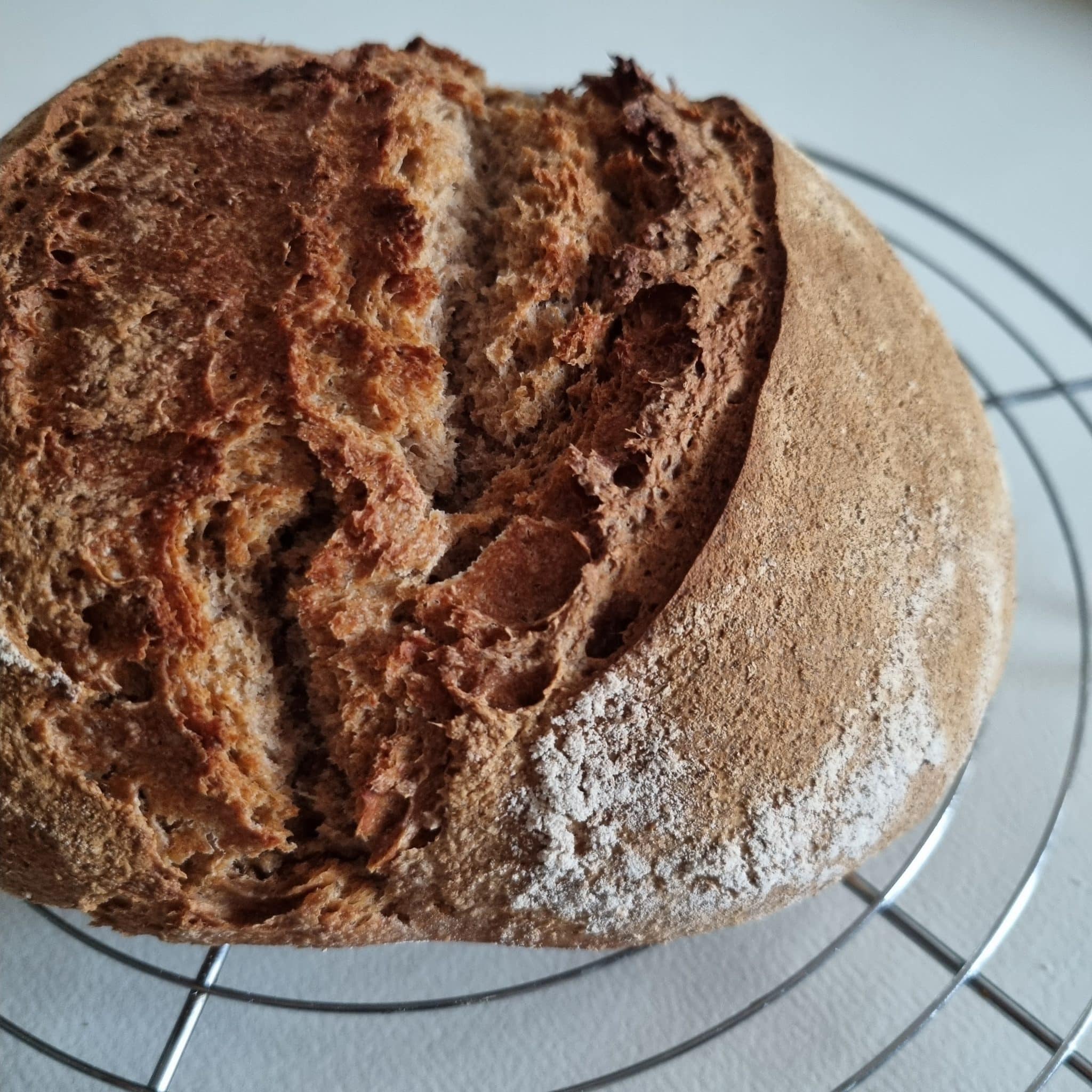 Faire son levain de seigle maison