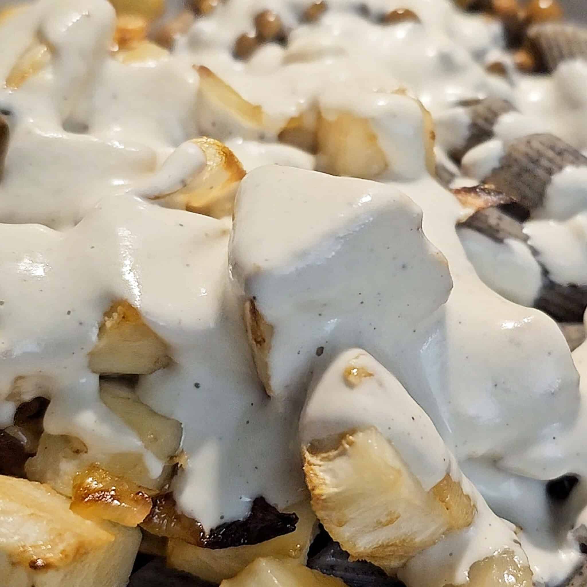 béchamel protéinée végétale