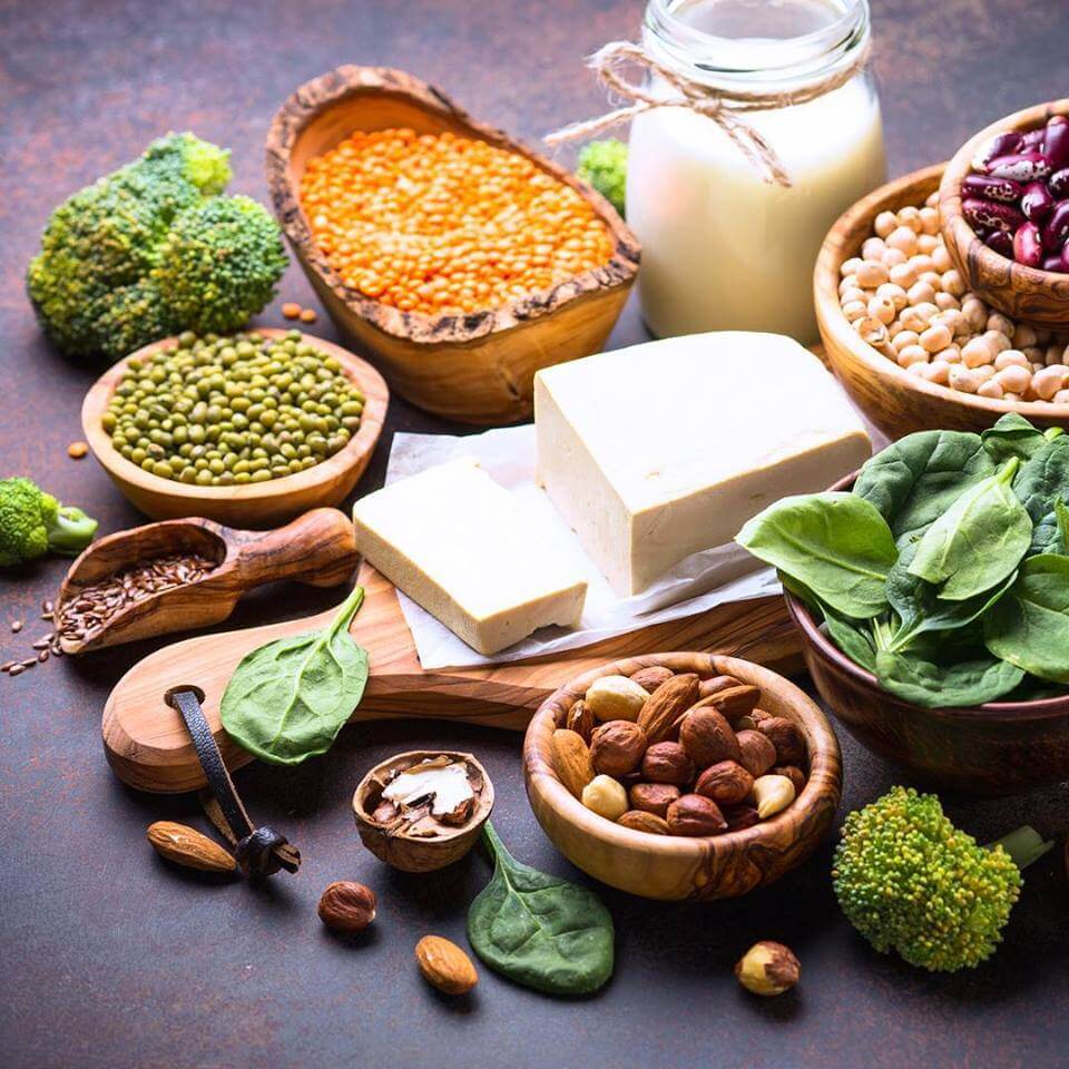 protéines végétales - substituts à la viande
