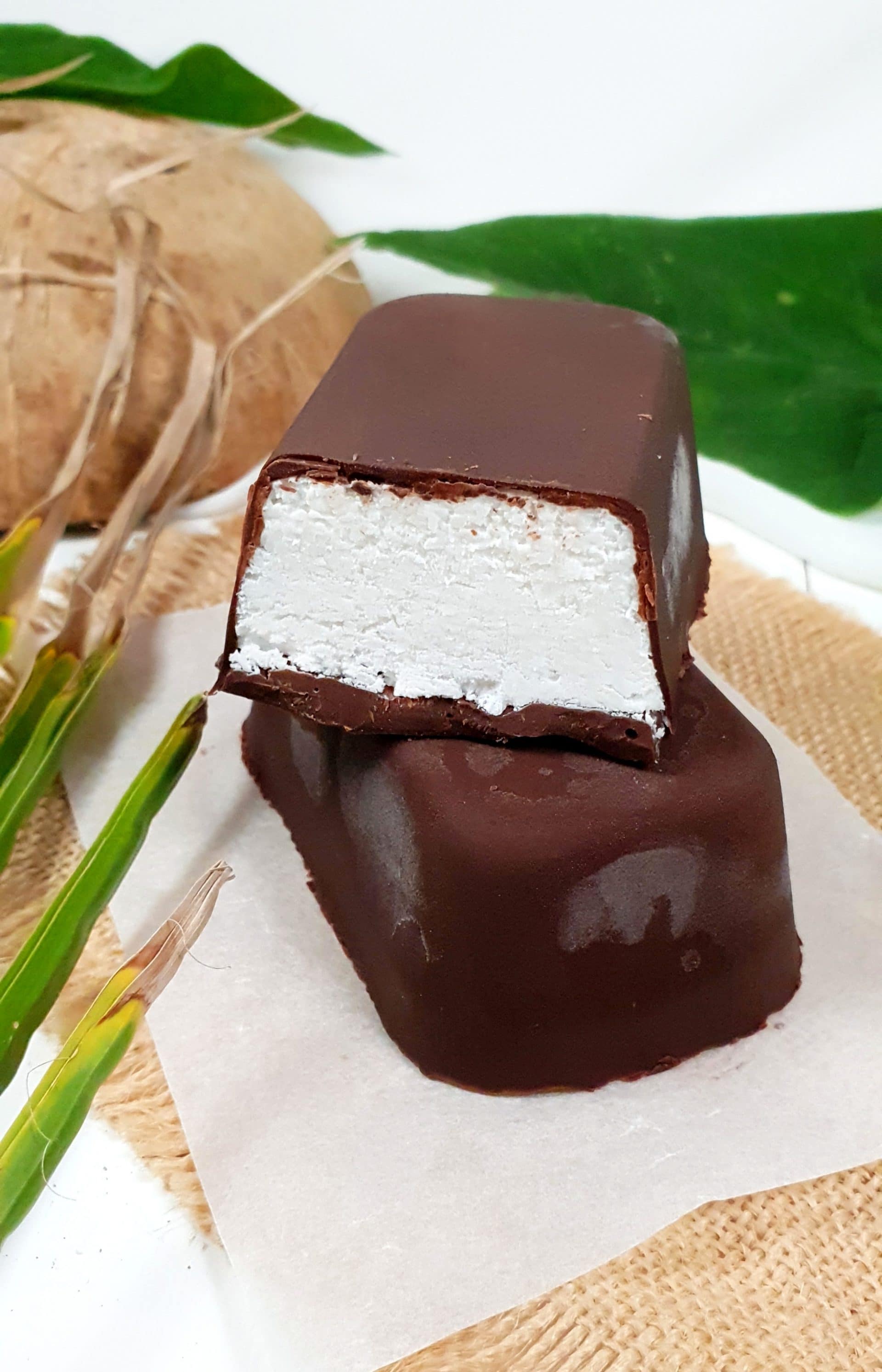 BOUNTY glacé maison sans lactose sans oeuf (vegan)