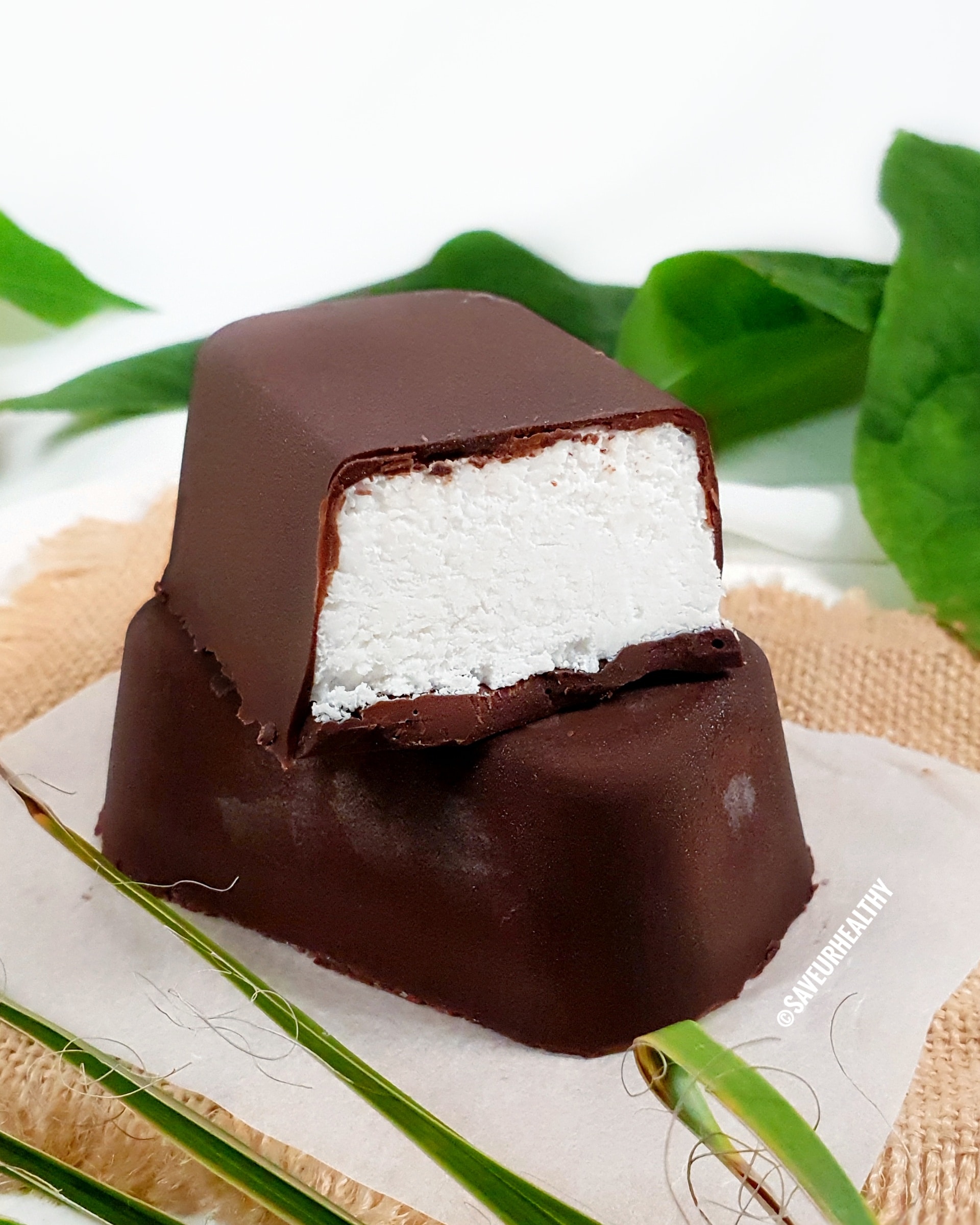 BOUNTY glacé maison sans lactose sans oeuf (vegan)